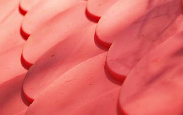 Landkey Newland plastic roof costs